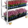 Wózek duński kwiatowy 4-półkowy CC na kwiaty na kwiaty wrzosy