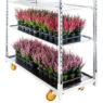 Wózek duński kwiatowy 4-półkowy CC na kwiaty na kwiaty