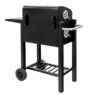 grill ogrodowy, grill ogrodowy z pokrywą, wózek węglowy ogrodowy