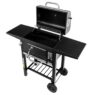 grill ogrodowy, grill ogrodowy z pokrywą, wózek węglowy ogrodowy