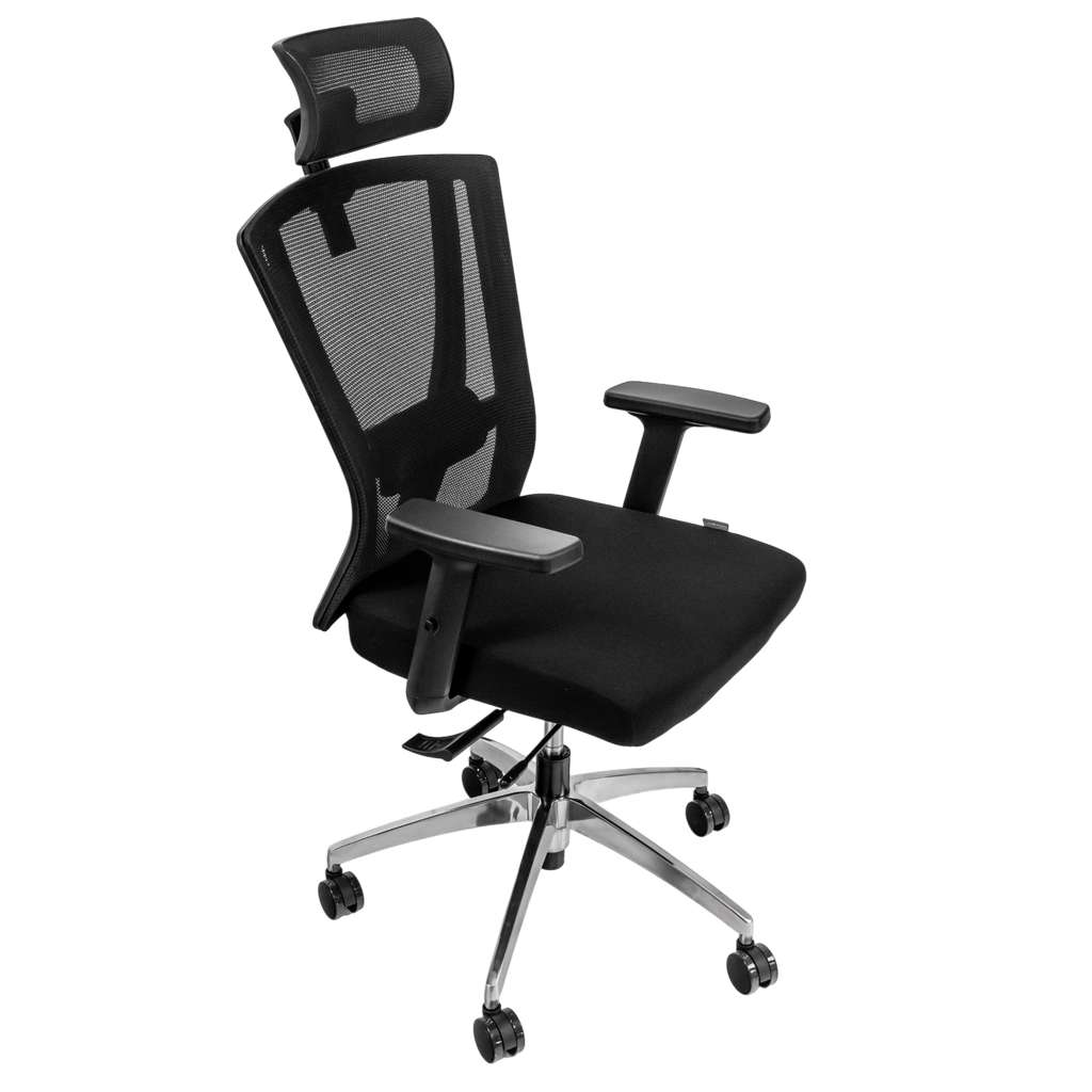 fotel obrotowy, fotel biurowy, ergonomiczny fotel do pracy, krzesło do biurka, fotel do komputera, fotel do pracy przy biurku, fotel obrotowy z podłokietnikami, fotel regulowany, wygodny fotel biurowy, fotel z regulacją wysokości, fotel do biura, fotel pracowniczy