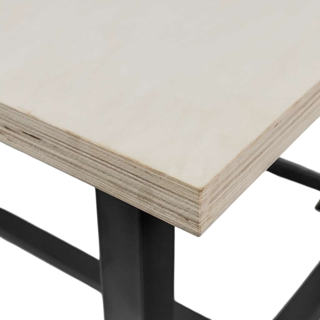 Stół warsztatowy WERKBERG S-120 cm G-75 cm H-80 cm grafit MTP008436